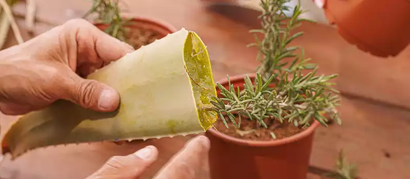 פרויקט ואדי עתיר