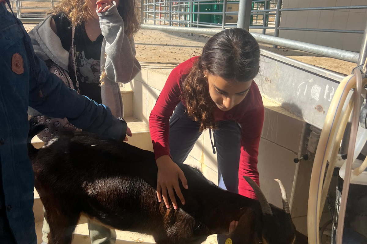 סדנת חליבה ואדי עתיר