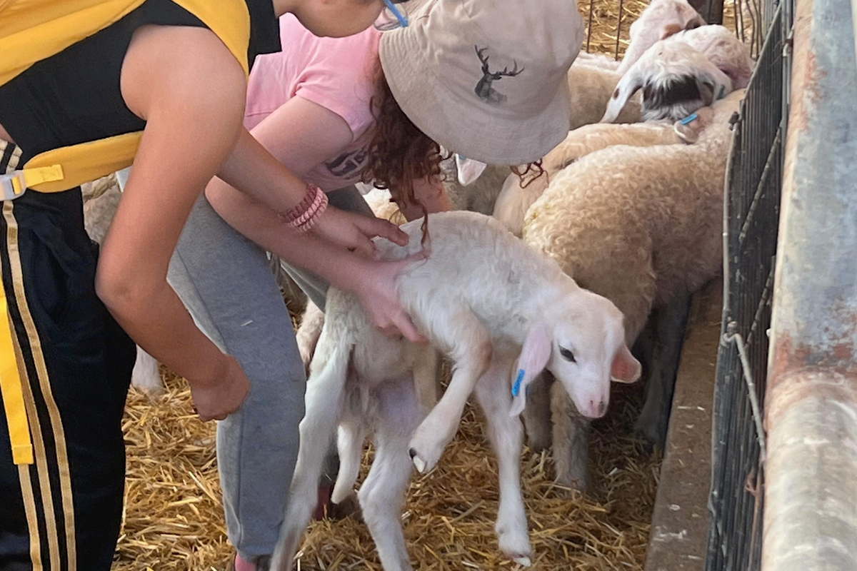 פרויקט ואדי עתיר סדנת חליבה