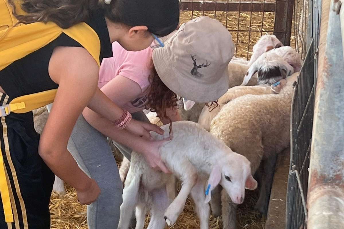 סדנת חליבה ואדי עתיר