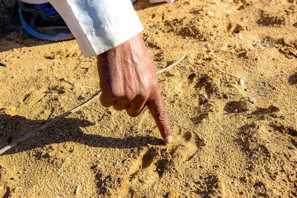 סדנת גששות מרתקת