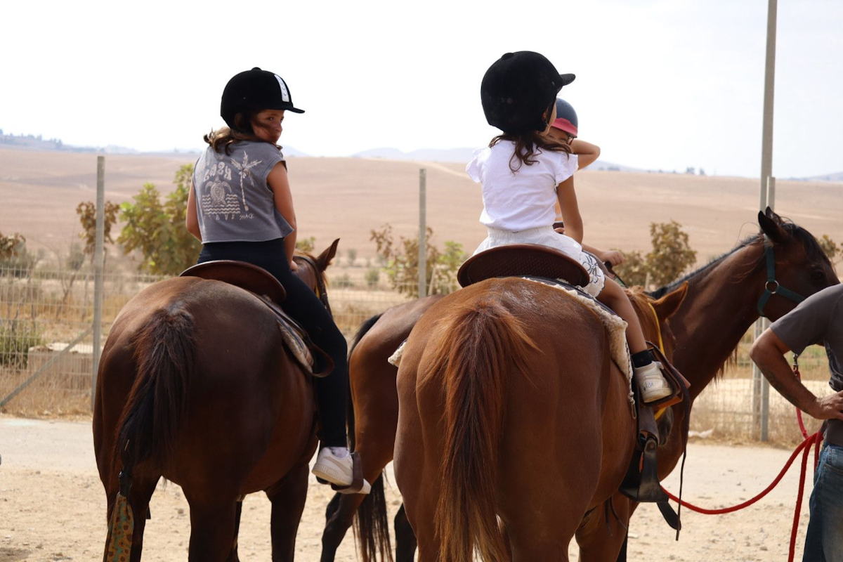 רכיבה ופעילות עם סוסים