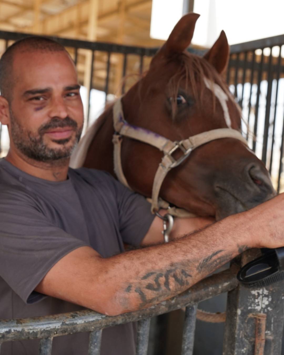 ואדי עתיר חוות סוסים