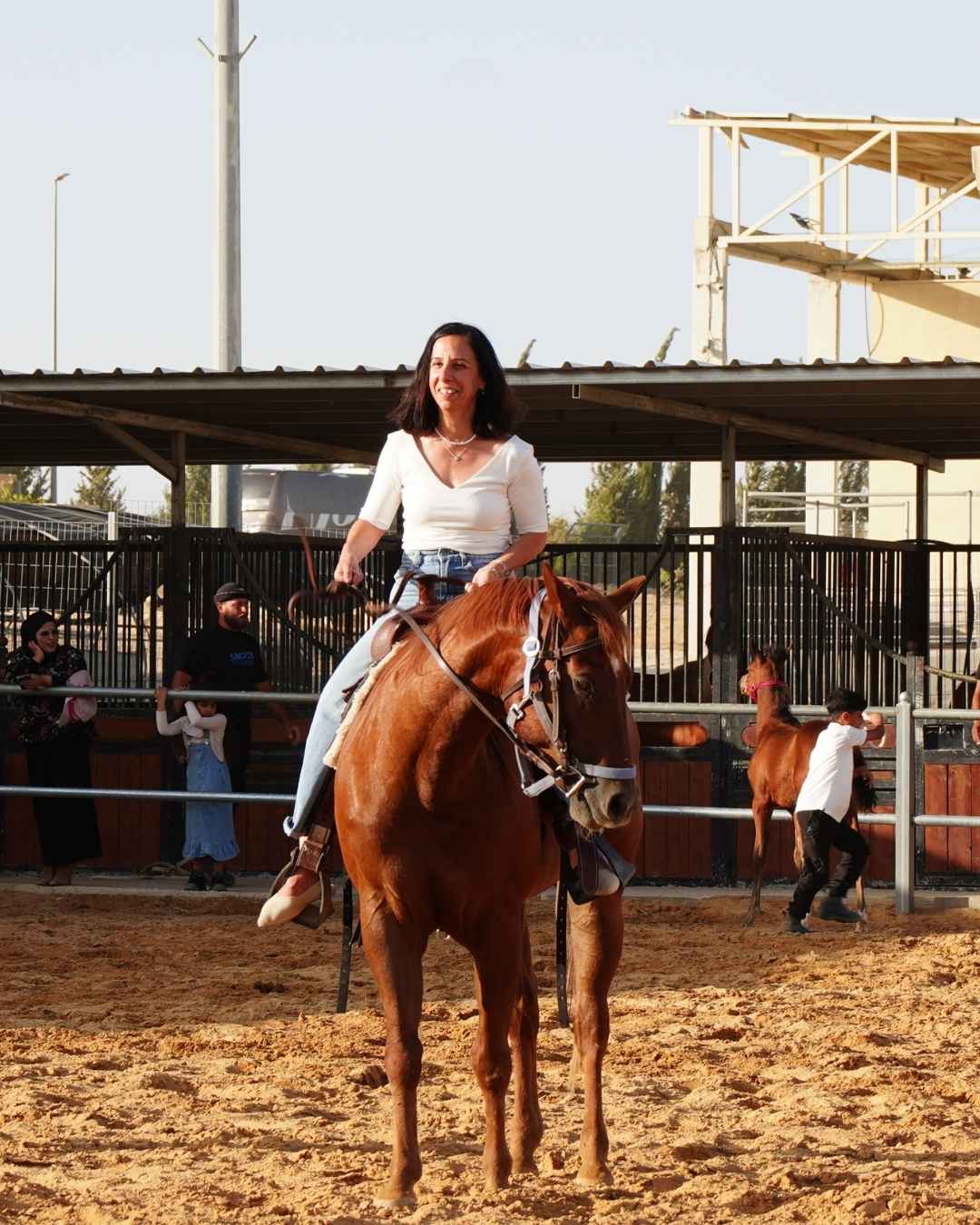 חוות אציל סוסים