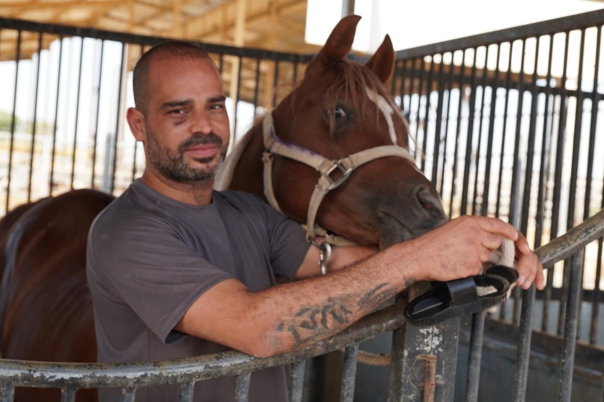 חוות סוסים פרויקט ואדי עתיר