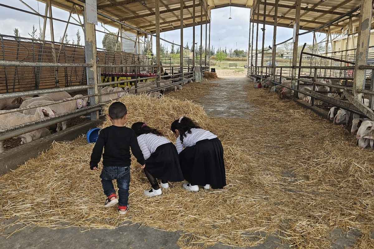 קייטנה ואדי עתיר 7