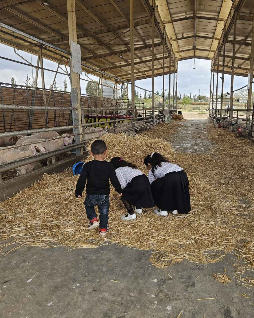 קייטנה פרויקט ואדי עתיר 5