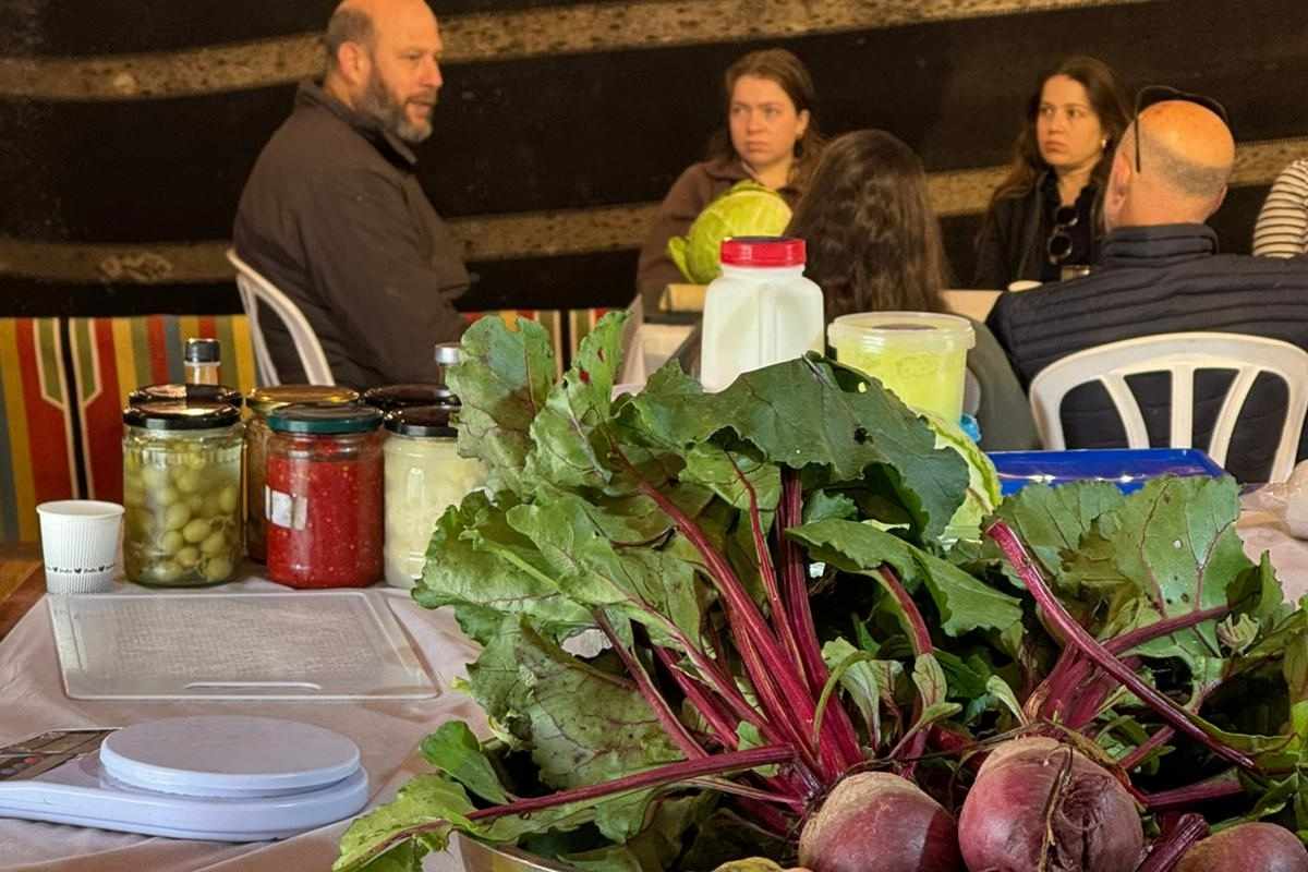 סדנת יסוד בהתססה 7