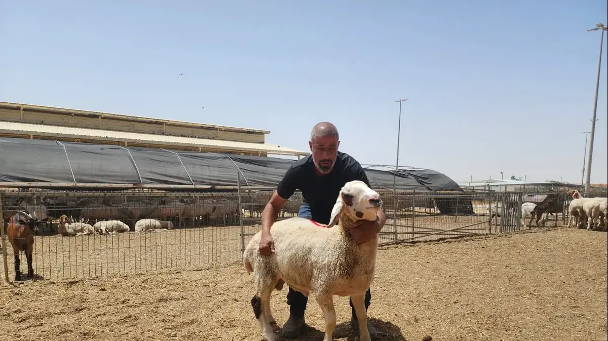 חקלאות וחדשנות בפרויקט ואדי עתיר
