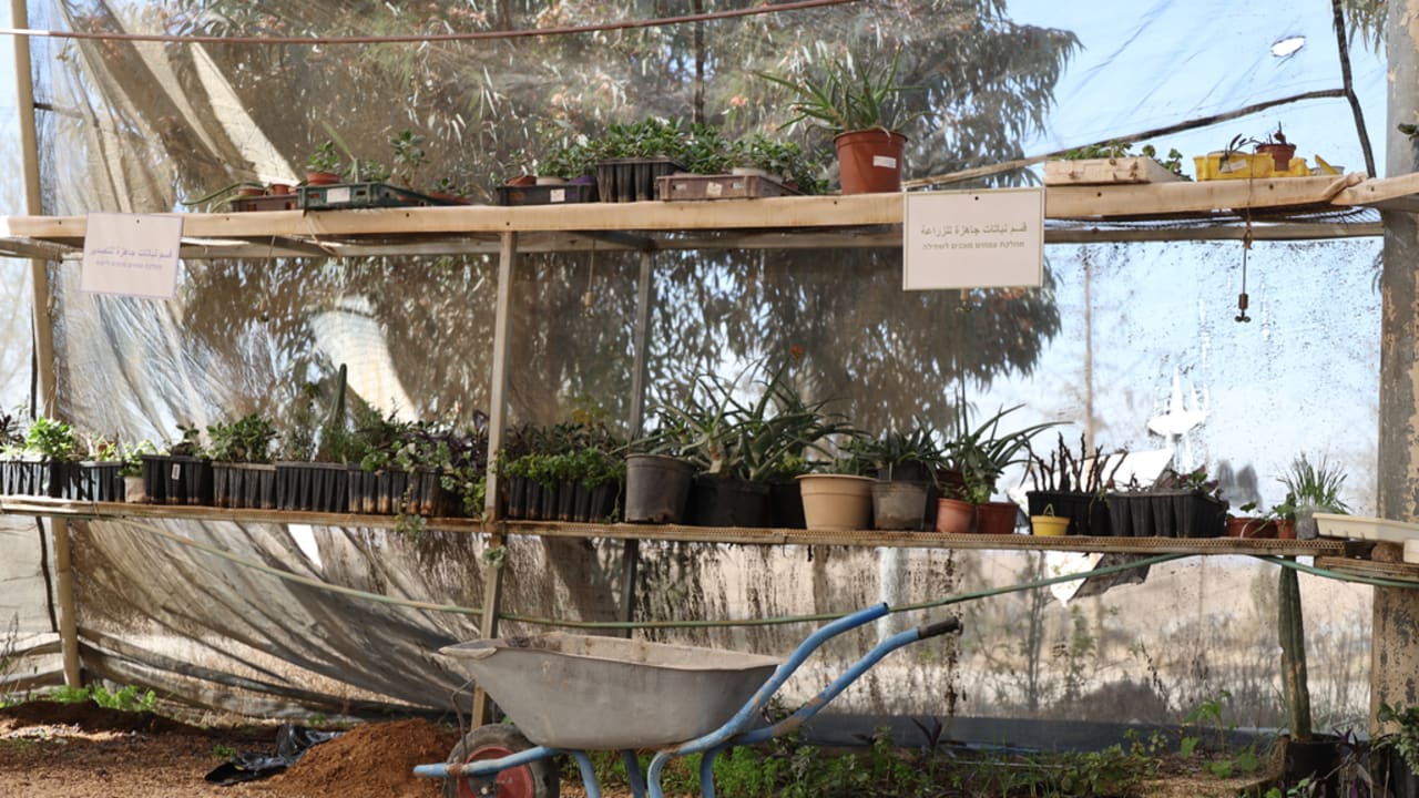 חקלאות וחדשנות בפרויקט ואדי עתיר