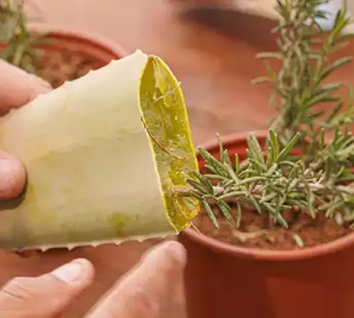 פרויקט ואדי עתיר