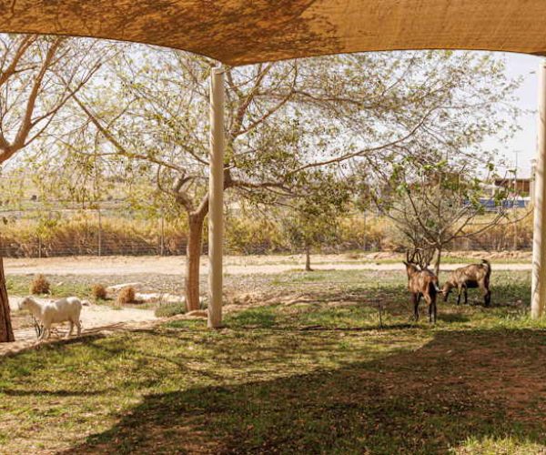 ואדי עתיר סיור בפרויקט