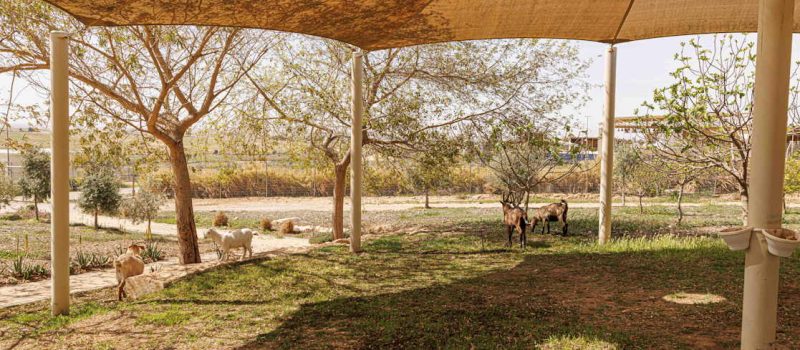 ואדי עתיר סיור בפרויקט