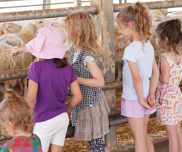 מרכז מבקרים ואדי עתיר