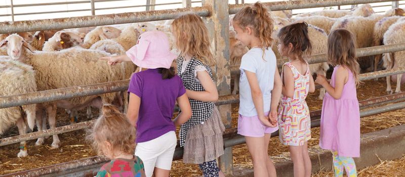 מרכז מבקרים ואדי עתיר