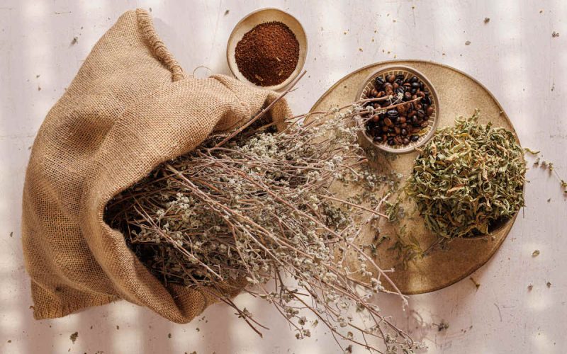 סדנת צמחי מרפא פרויקט ואדי עתיר