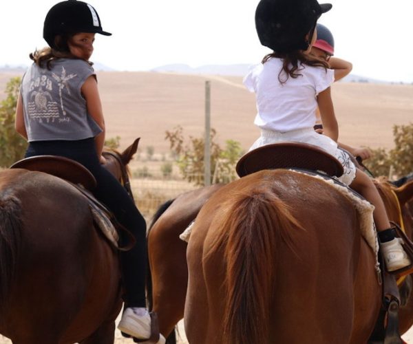 סיור בפרויקט ודי עתיר