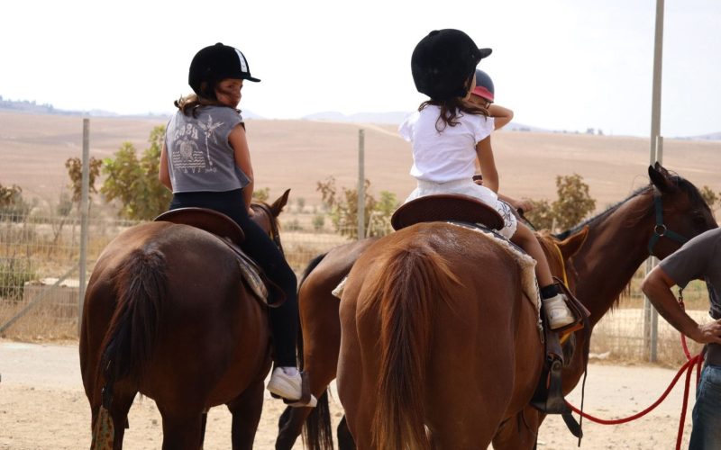 תמונה של WhatsApp‏ 2025-08-18 בשעה 12.11.11_198d2969